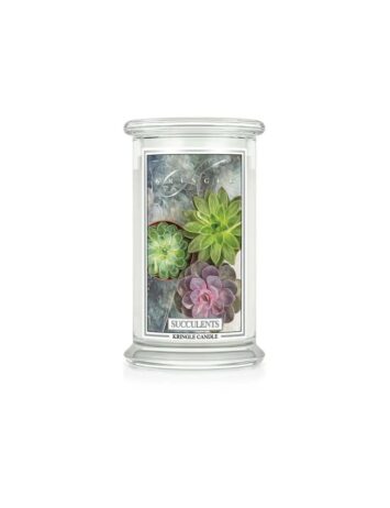 קרינגל קנדל נר ריחני סוקולנט 623גרם KRINGLE CANDLE SUCCULENTS 623G