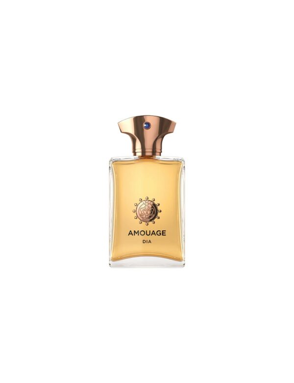 אמואג דיאה בושם יוניסקס אדפ 100מ"ל AMOUAGE DIA EDP 100ML